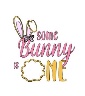 Some Bunny is One Family Birthday t-shirts