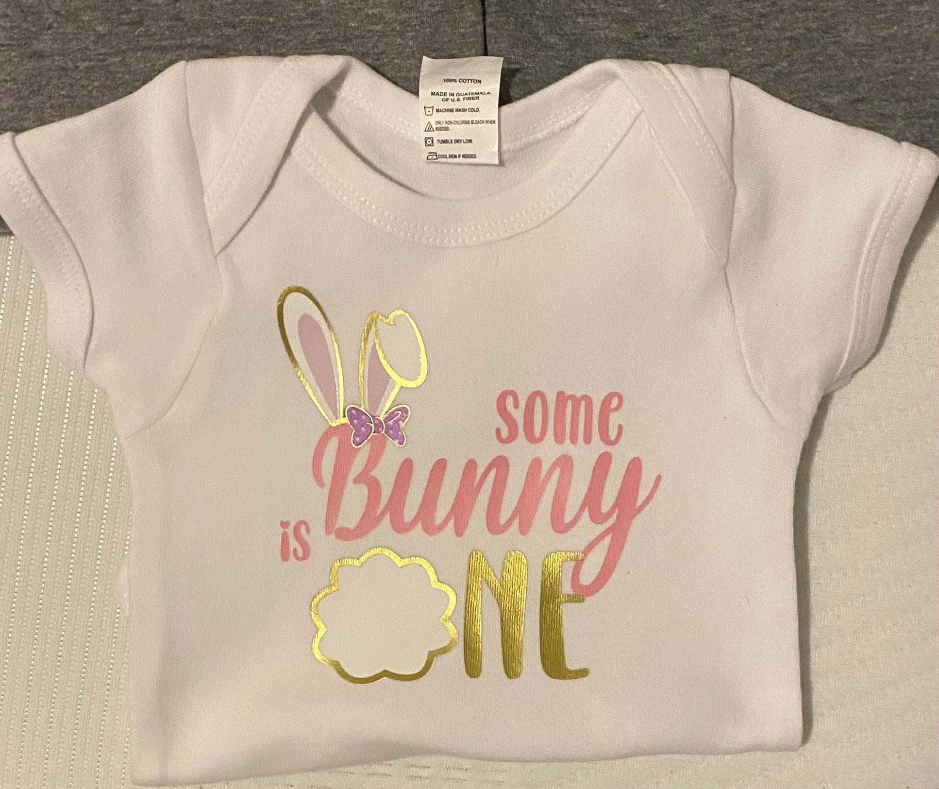 Some Bunny is One Family Birthday t-shirts