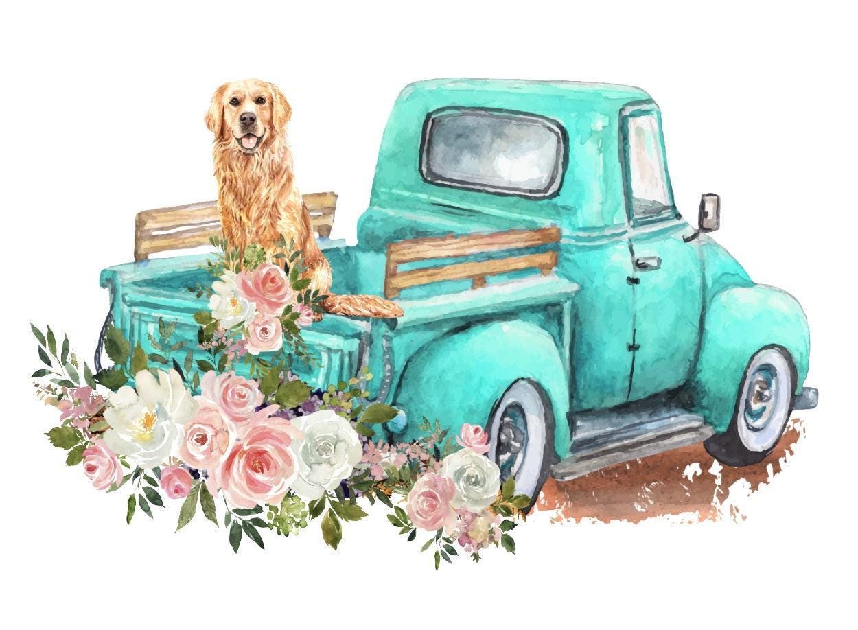 Golden retriever in the back of a truck t-shirt