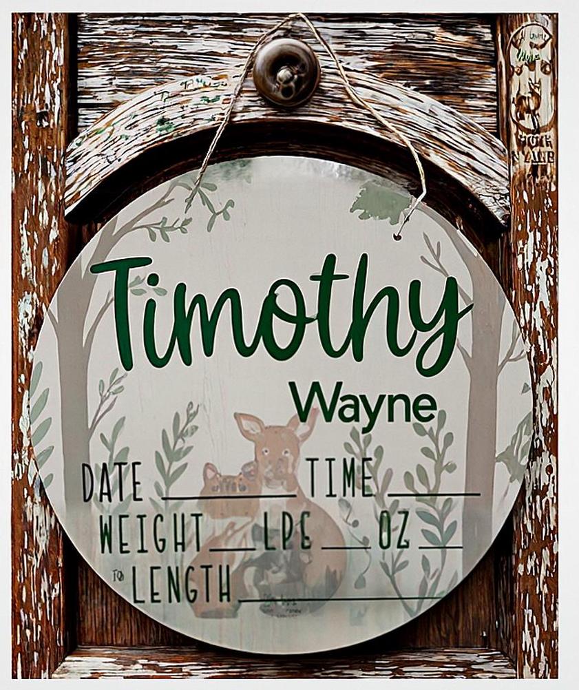 Baby Announcement Sign with name and birth stats
