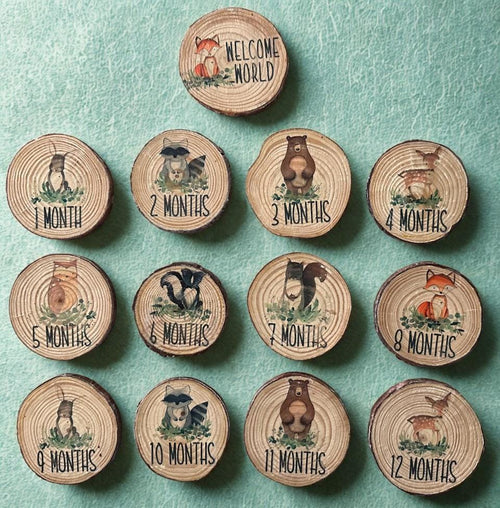 Baby month milestone discs with canvas pouch